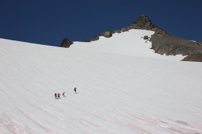 A few climbers went up the glacier to the top